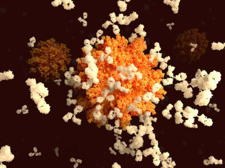 Orang dengan Antibodi SARS-CoV-2 Mungkin Memiliki Risiko Infeksi yang Rendah di Masa Depan